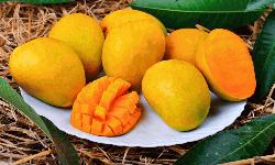 আম খাওয়ার পর যেসব খাবার থেকে দূরে থাকবেন